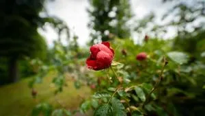 Apartmani Gorica - Lič