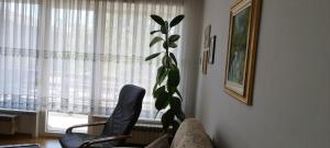 7 Flower Street Apartment