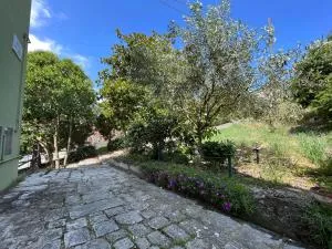 B&B Il Borgo - Matrice