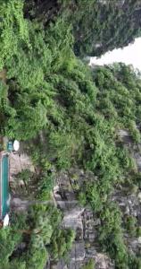 Green valley homestay