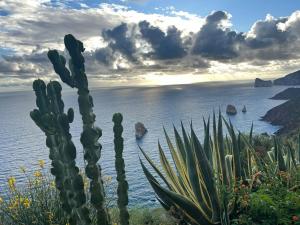 Casa Vacanza Sa dommu de Teresa img27