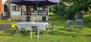 Vila Lena Banja Vrujci