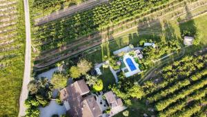 Maisons de vacances Grande maison de charme avec piscine au coeur des vergers et vignobles : photos des chambres