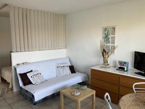 Appartements Studio climatise avec parking prive proche Port le Brusc et Plages : photos des chambres