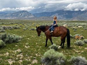 Yellowstone River! Mountain Views!