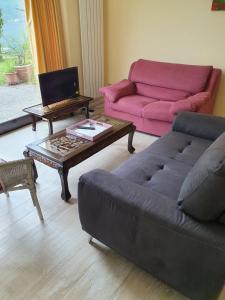 Casa Le Palme giardino