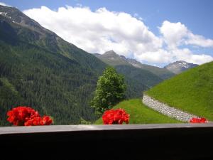 Berggasthaus Trojen