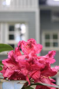 Moderne Wohnung im skandinavischen Stil am Waldrand