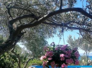 Splendida villa in riva al mare img50