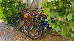 B&B / Chambres d'hotes Le Grand Barrois : photos des chambres