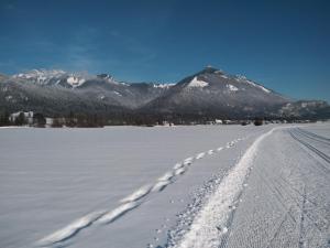 Pilzhof