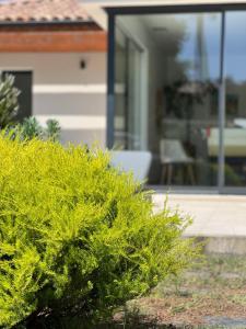 Location villa entre lac et océan avec son spa de nage