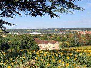 B&B / Chambres d'hotes Le Domaine de Bella : photos des chambres