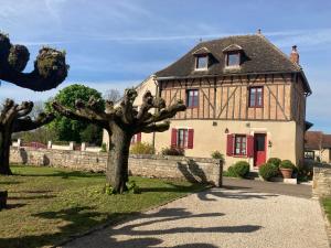 Jan s place in Burgundy