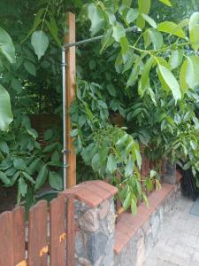 Dom z Sauną i Jacuzzi Rowery Elektryczne