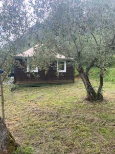 Deluxe Bungalow with Garden View