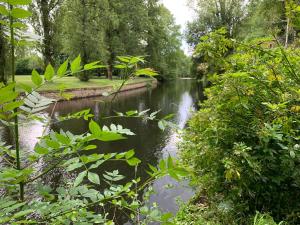 Maisons de vacances Maisonnette cosy a Brantome. Jardinet sur riviere : photos des chambres