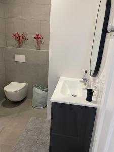 Appartements Hyper centre historique calme en mode tout a pied : photos des chambres