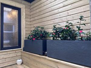 The Art House 3 Galway, Woodquay