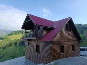 Diamond Tree House - Ciganoysovri