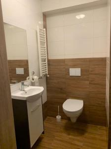 apartament- Stare Miasto Olsztyn