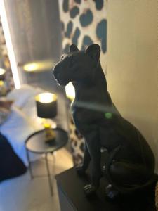 Appartements Esprit AFRICA, SPA et SAUNA de luxe : photos des chambres