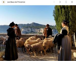 Appartements le Balcon du Prince Noir : photos des chambres