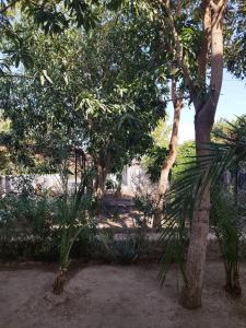 Gabawy Garden Ferienwohnung