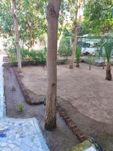 Gabawy Garden Ferienwohnung