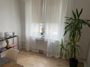 Ferienwohnung Hansezauber Lübeck