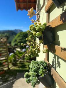 Lumiar Chalé Jardim do Sossego