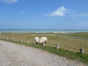 Appartements Holiday flat in the heart of Arromanches : photos des chambres