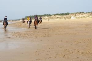 Appartements Appartement a 1km des plages avec 2 velos elec : photos des chambres