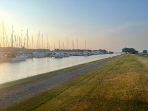 Casa Conchiglia - Aprilia Marittima - Corte Grande