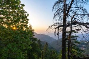 StayVista Mellow Cottage Scenic view near Mall Road