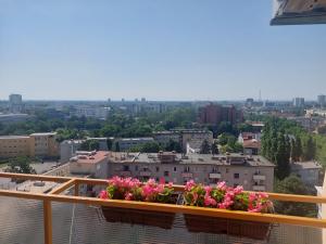 Premium studio apartment Antonio