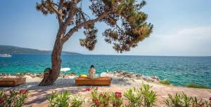 Villa with nice pool, luxuriously furnished, quiet area - by TRAVELER tourist agency Krk ID2389