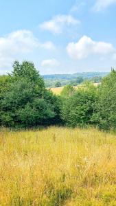 Oak Shepherds Hut