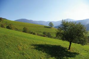 ZeiTraum Ferienwohnung Tafelbühl