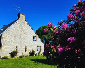 Maisons de vacances Maison en pierre au milieu du bocage : photos des chambres