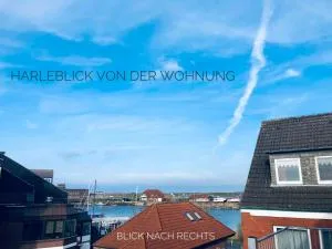 50187... - 哈勒西尔