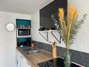 Appartements LE GAUGUIN, T2 Cosy, 2-4 Pers, a 300m des plages : photos des chambres