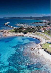 Under the Lemon Tree img26