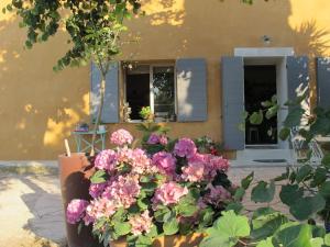 Villas Mas dans vignoble classe, plages, randos, village. : photos des chambres