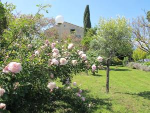 Villas Mas dans vignoble classe, plages, randos, village. : photos des chambres