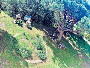 Grand T3 Fréjus base nature