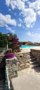 My Little Garden - 克里希阿克提