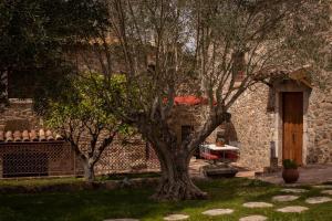 Superior Suite room in Hotel Mas 1670 - Adults Only