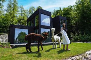 Forrest Space - wyjątkowy dom otoczony naturą