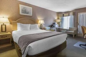 Flamingo Hotel - Redcliff